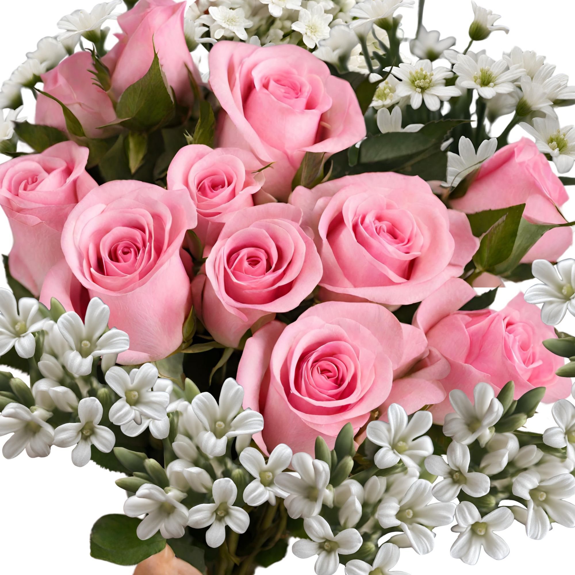 Ramo de 11 rosas rosadas