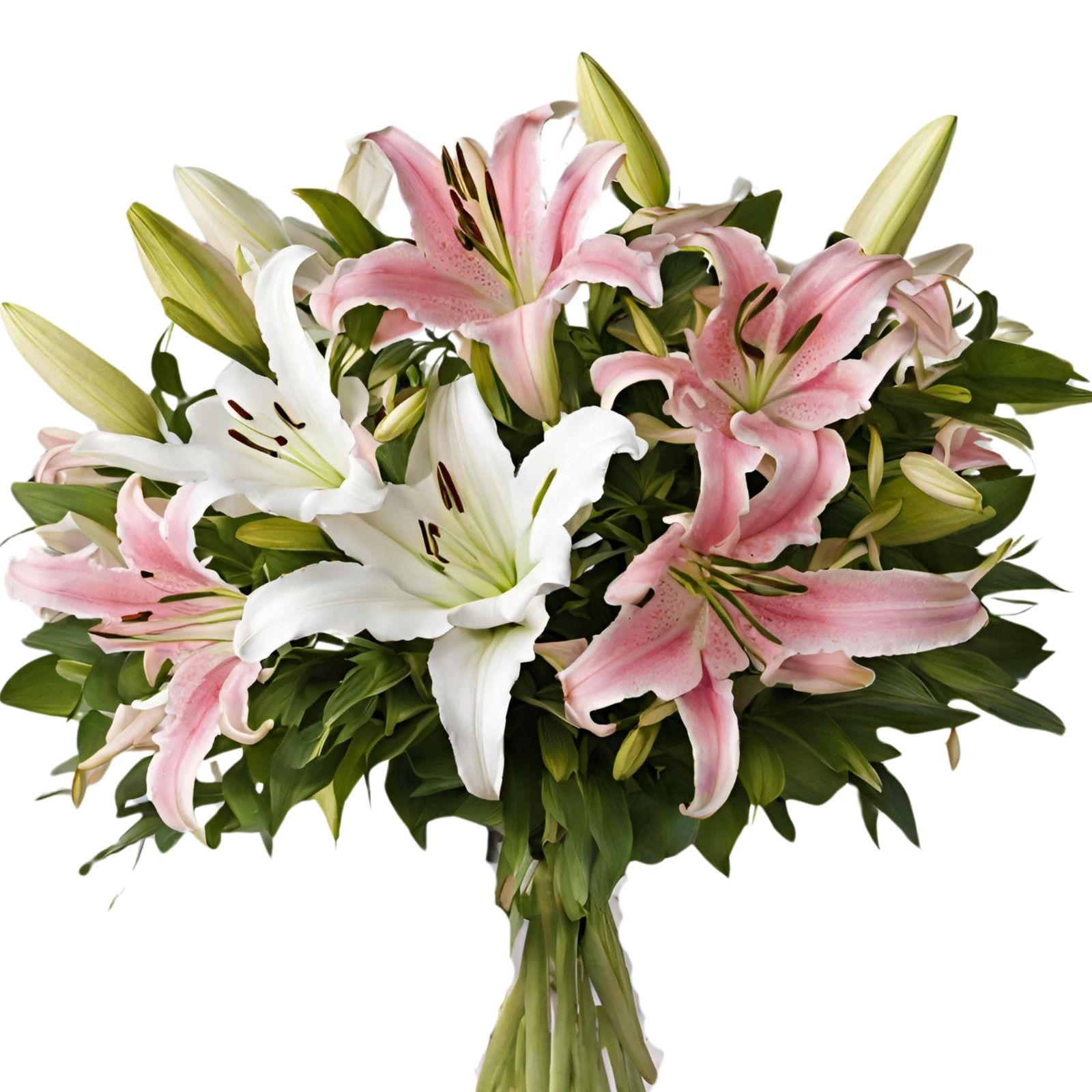 Amanecer de Ensueño