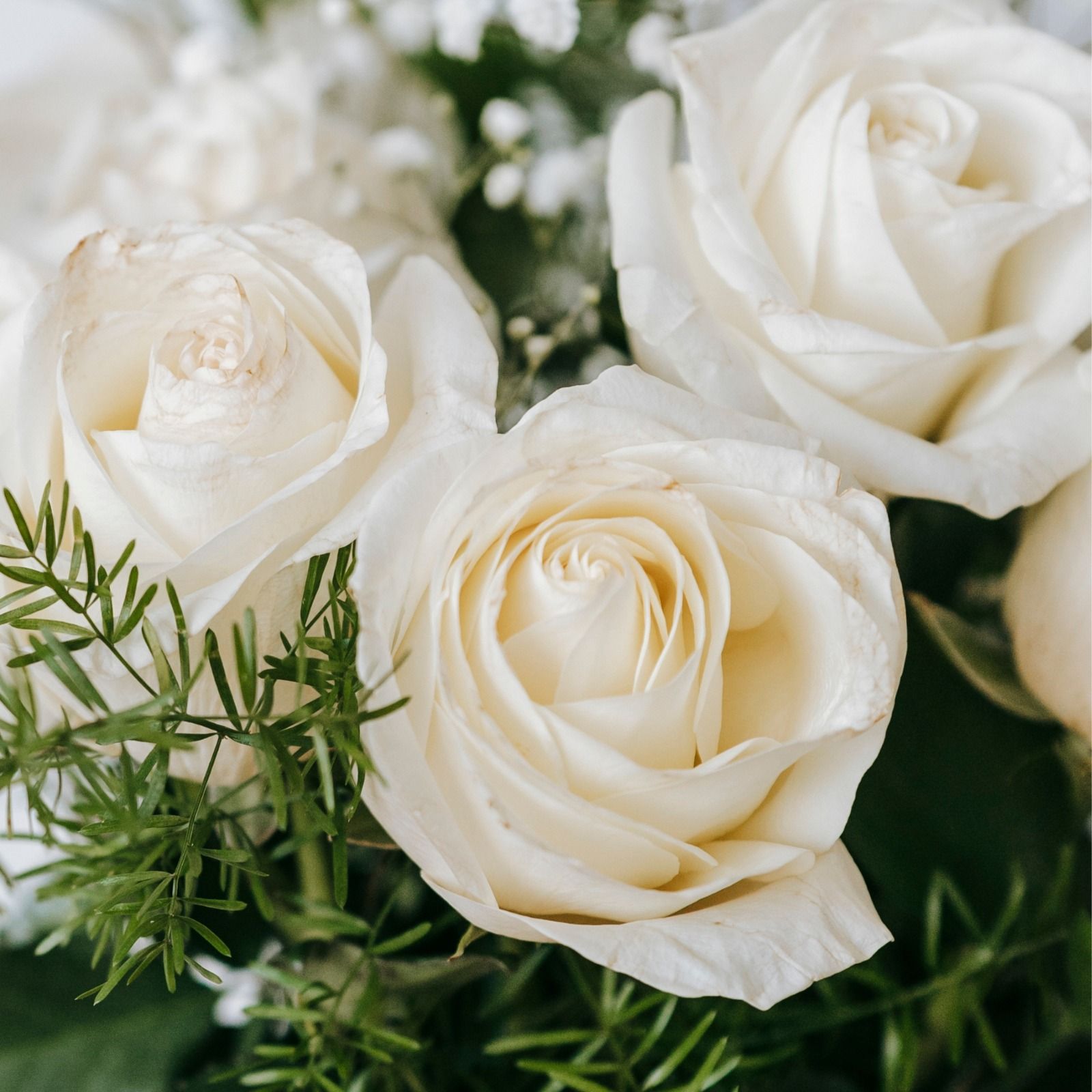 Ramo de 3 rosas blancas