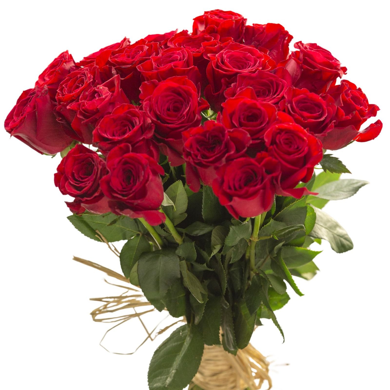 Ramo de 24 rosas rojas