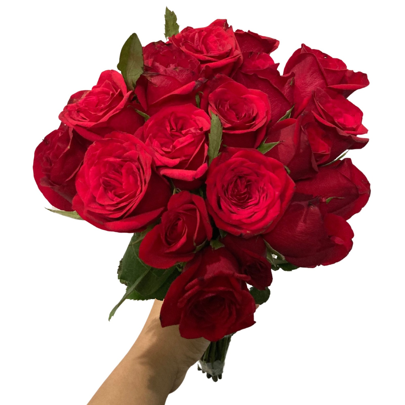 Ramo de 15 rosas rojas