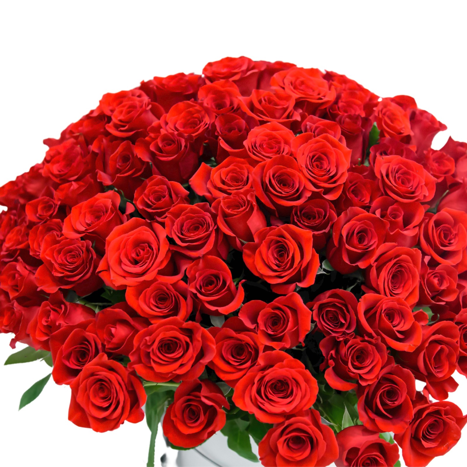 Ramo de 200 rosas rojas