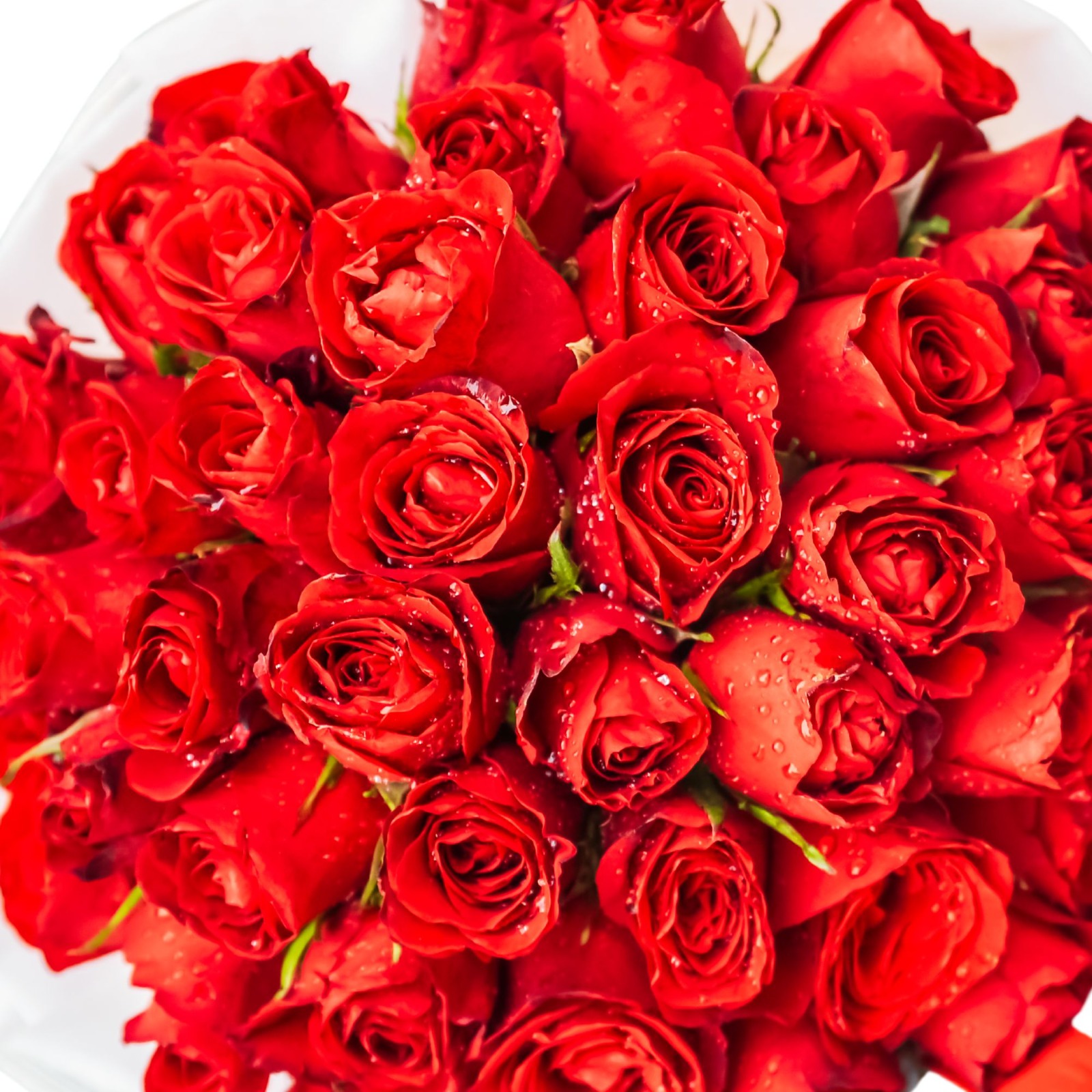 Ramo de 40 rosas rojas