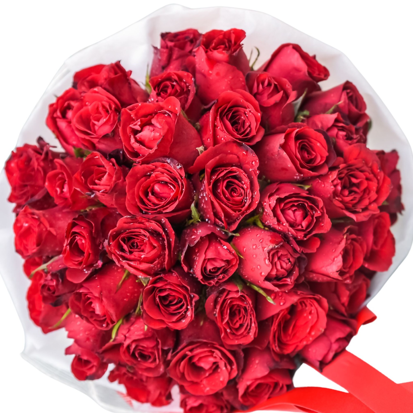 Ramo de 50 rosas rojas