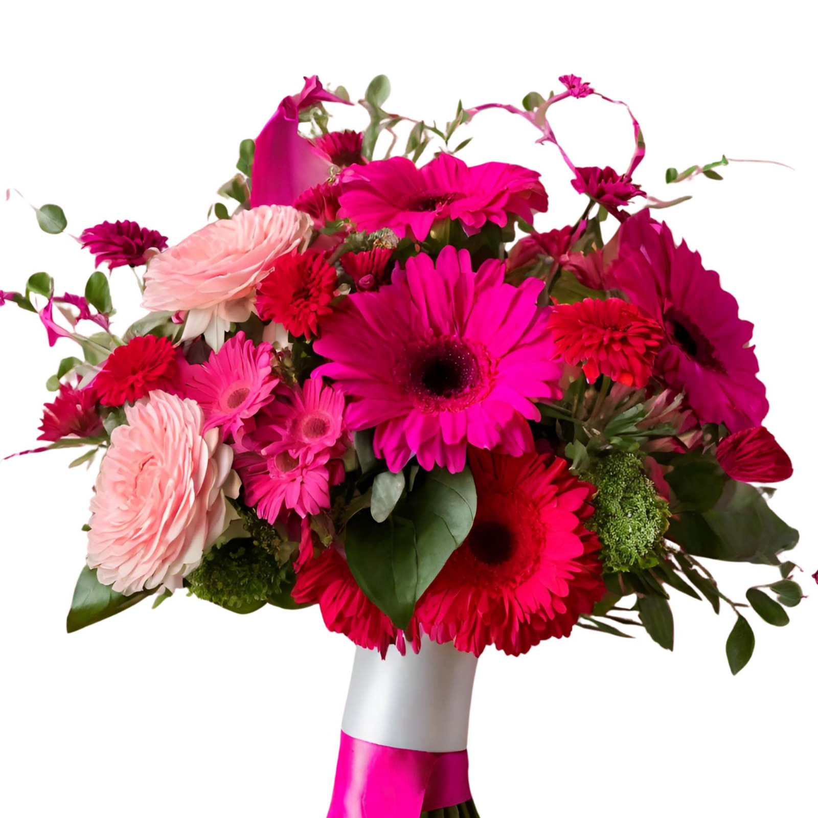 Contraste de Pasiones